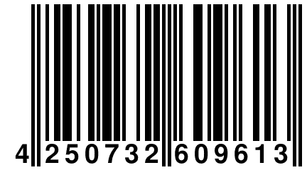 4 250732 609613