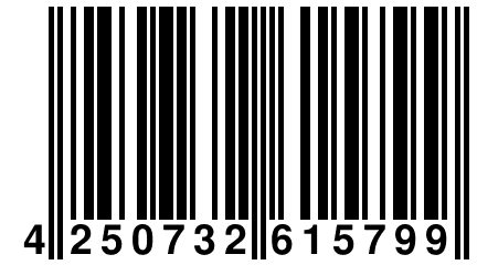 4 250732 615799