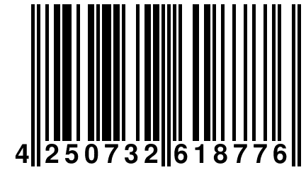 4 250732 618776