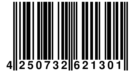 4 250732 621301