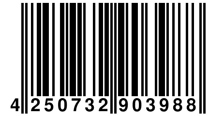 4 250732 903988