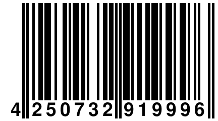 4 250732 919996