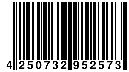 4 250732 952573