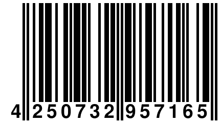 4 250732 957165