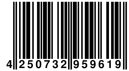 4 250732 959619