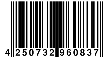 4 250732 960837