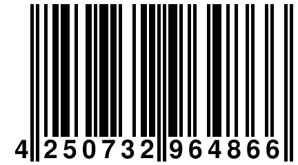 4 250732 964866