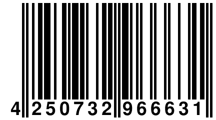 4 250732 966631