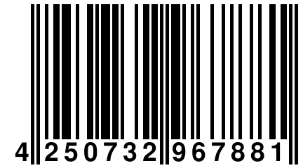 4 250732 967881