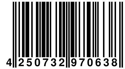 4 250732 970638