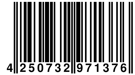 4 250732 971376