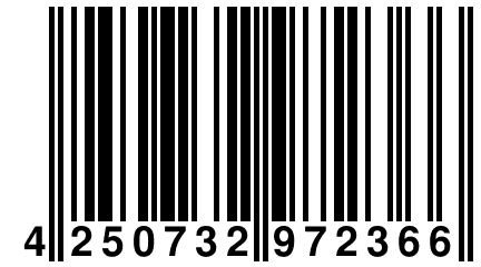 4 250732 972366