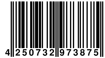 4 250732 973875