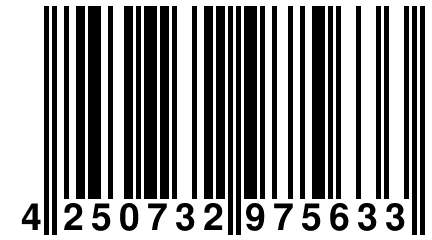 4 250732 975633