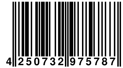 4 250732 975787