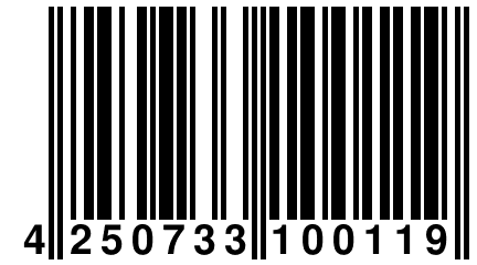 4 250733 100119