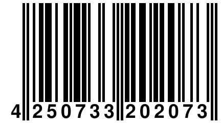 4 250733 202073