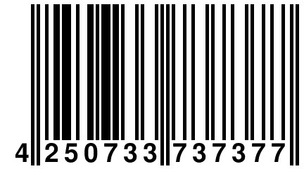 4 250733 737377