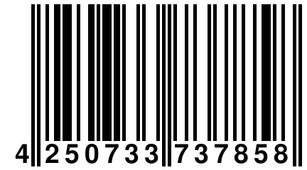 4 250733 737858