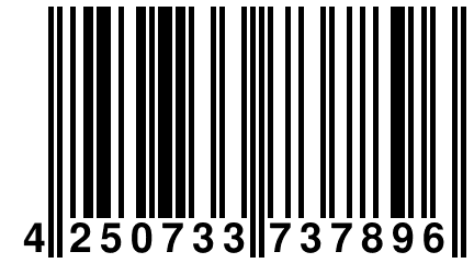 4 250733 737896