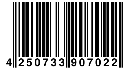 4 250733 907022