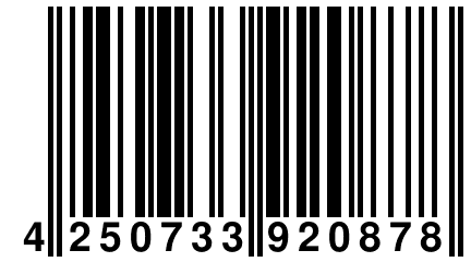 4 250733 920878