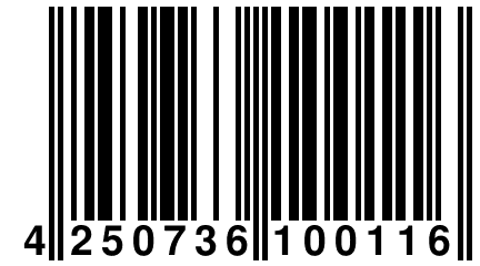 4 250736 100116