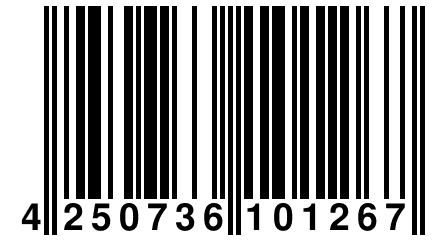 4 250736 101267