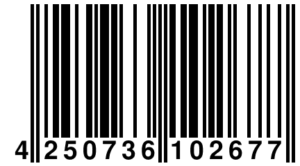 4 250736 102677