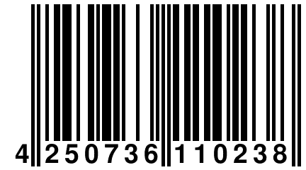 4 250736 110238