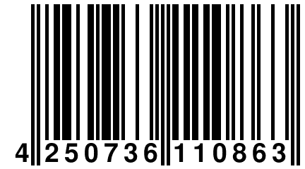 4 250736 110863