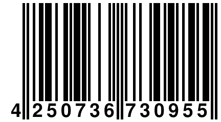 4 250736 730955