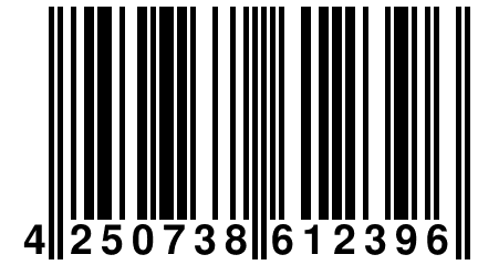 4 250738 612396