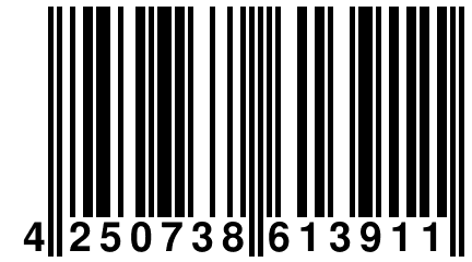 4 250738 613911