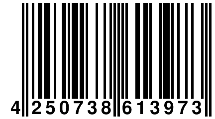 4 250738 613973