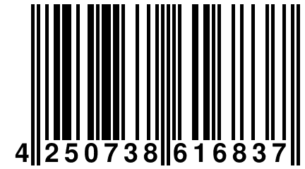 4 250738 616837