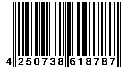 4 250738 618787