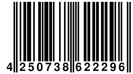 4 250738 622296