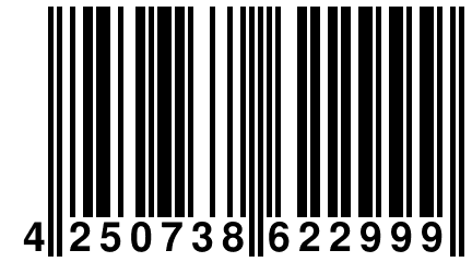 4 250738 622999