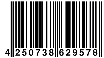 4 250738 629578