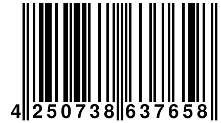 4 250738 637658