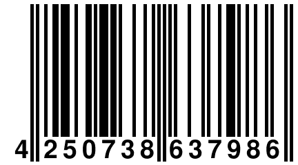 4 250738 637986