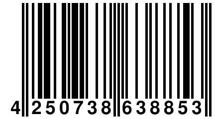 4 250738 638853