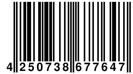 4 250738 677647