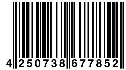 4 250738 677852