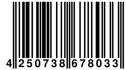 4 250738 678033