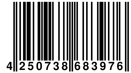 4 250738 683976