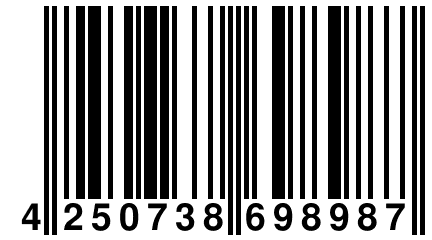 4 250738 698987