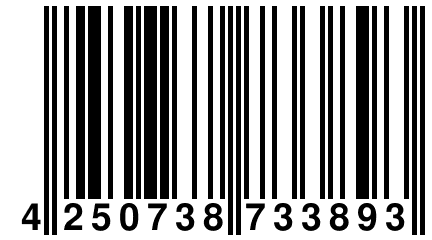 4 250738 733893