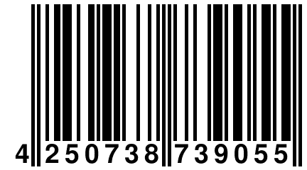 4 250738 739055